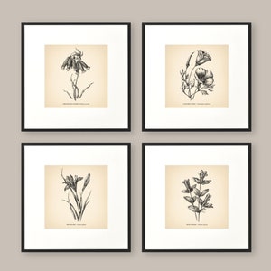 8x8'' Vintage Botanical Prints Set of 4 Botanical Poster Wildflower Botanical Print Flower Print Vintage Print Botanical Art Neutral Decor