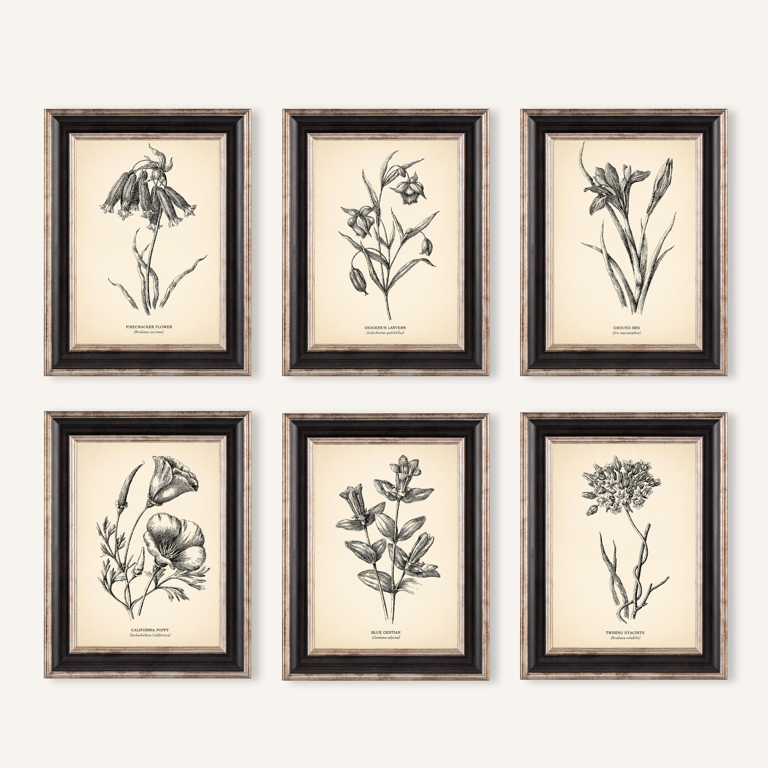 6 Pcs Vintage Botanical Wall Art Prints Set - 8x10 Unframed Floral Posters, Boho Decor For Bedroom, Living Room
