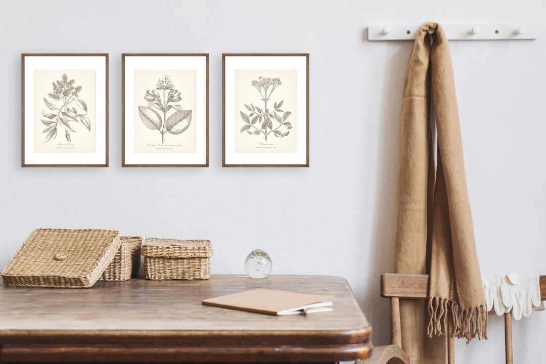 Vintage Style Botanical Prints Set of 3 Botanical Poster Wildflower ...