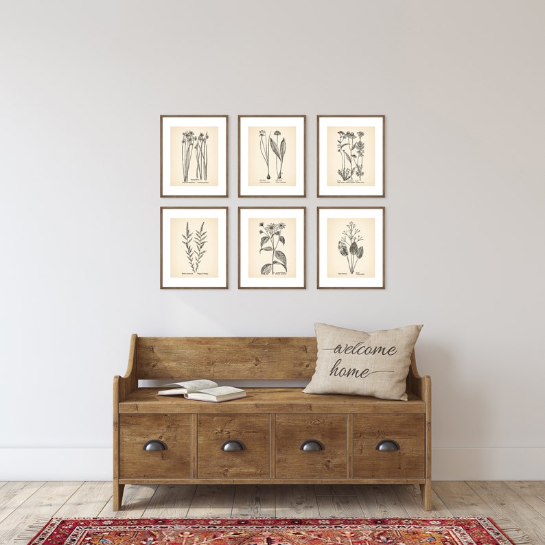 Vintage Botanical Prints Set of 6 Botanical Poster Wildflower Botanical ...