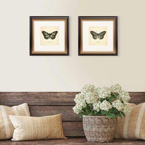 May include: Two framed butterfly prints with black frames and gold inner borders. The butterfly illustrations are in black and white on a cream background. The frames are displayed above a wooden bench with pillows and a woven basket of white flowers.