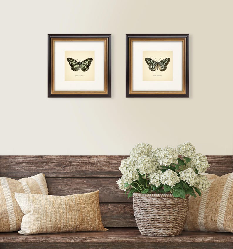 May include: Two framed butterfly prints with black frames and gold inner borders. The butterfly illustrations are in black and white on a cream background. The frames are displayed above a wooden bench with pillows and a woven basket of white flowers.