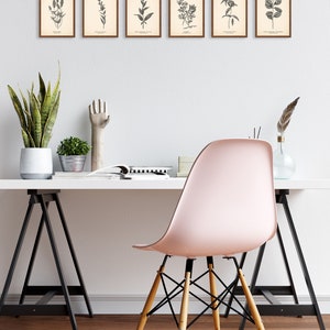 K&ouml;nnte beinhalten: Ein wei&szlig;er Schreibtisch mit einem rosa Stuhl und schwarzen Bockbeinen. An der Wand hinter dem Schreibtisch h&auml;ngen sechs gerahmte Schwarzwei&szlig;- botanische Drucke. Die Drucke zeigen verschiedene Pflanzen- und Blumenarten.