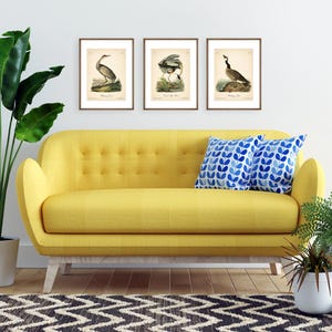 8x10'' 3 VINTAGE PRINTS Audubon Birds 8x10 inches Wall Art Decor Rustic Antique Book Birds of America Botanical Prints Set of 3 Prints Heron image 10