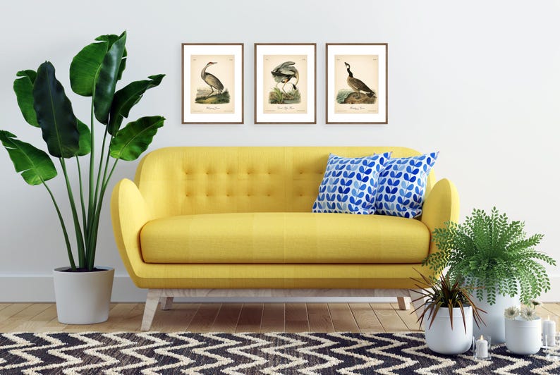 8x10'' 3 VINTAGE PRINTS Audubon Birds 8x10 inches Wall Art Decor Rustic Antique Book Birds of America Botanical Prints Set of 3 Prints Heron image 10
