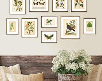Gallery Wall Set of 10 Vintage Botanical Prints, Botanical Poster, Flower Prints, Butterfly Sunflower Fern Leaf Rose Bird Set of Prints
