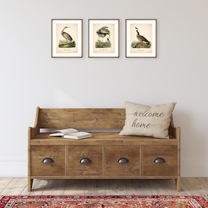 8x10'' 3 VINTAGE PRINTS Audubon Birds 8x10 inches Wall Art Decor Rustic Antique Book Birds of America Botanical Prints Set of 3 Prints Heron image 14