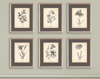 8x10'' Vintage Botanical Prints Set of 6 Botanical Poster Wildflower Botanical Print Flower Print Vintage Print Botanical Art Neutral Decor