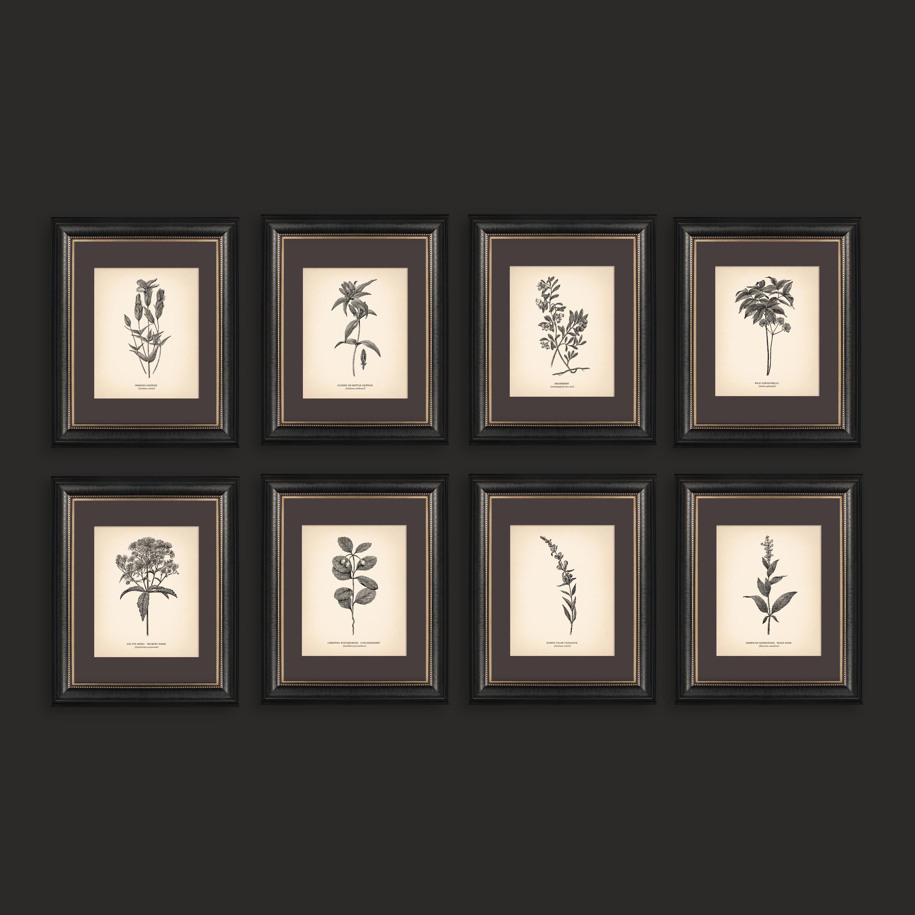 Botanical Prints Set of 8 Botanical Poster Wildflower Vintage Print ...
