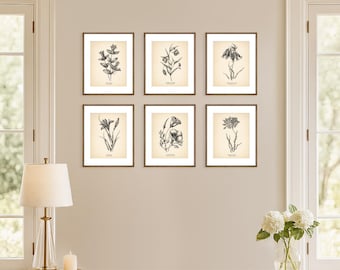 8x10'' Vintage Botanical Prints Set of 6 Botanical Poster Wildflower Botanical Print Flower Print Vintage Print Botanical Art Neutral Decor