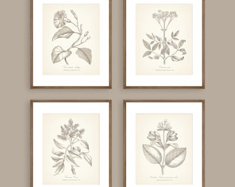 Neutral Beige Botanical Prints Set of 4 Botanical Poster Wildflower Print Flower Print Vintage Print Botanical Art Neutral Decor Wall Art