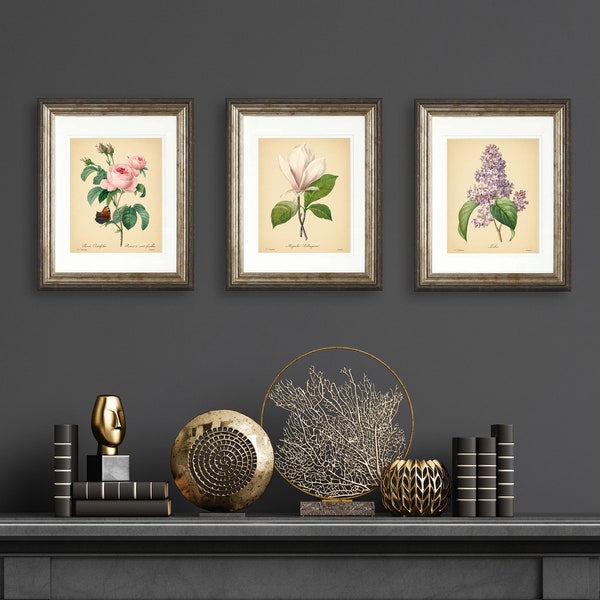 8x10'' Vintage Botanical Prints Set of 3 Botanical Flowers Posters Rose Magnolia Flower Print Vintage Print Botanical Art Mother's Day Gift