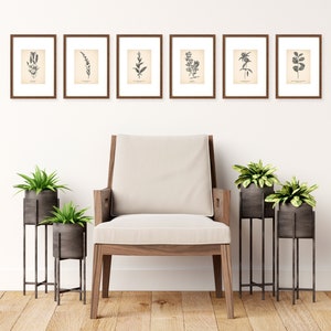 K&ouml;nnte beinhalten: Ein Satz von sechs gerahmten botanischen Drucken mit Schwarzwei&szlig;illustrationen verschiedener Pflanzen. Die Drucke sind an einer wei&szlig;en Wand &uuml;ber einem wei&szlig;en Sessel mit Holzbeinen angebracht. Vor dem Sessel stehen drei Topfpflanzen auf Metallst&auml;ndern.
