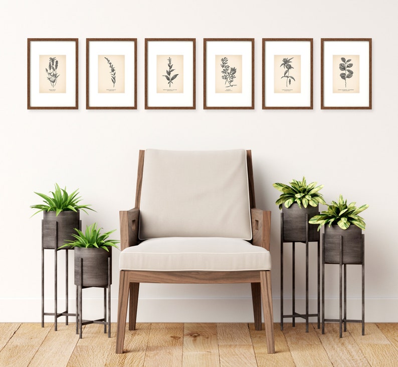 K&ouml;nnte beinhalten: Ein Satz von sechs gerahmten botanischen Drucken mit Schwarzwei&szlig;illustrationen verschiedener Pflanzen. Die Drucke sind an einer wei&szlig;en Wand &uuml;ber einem wei&szlig;en Sessel mit Holzbeinen angebracht. Vor dem Sessel stehen drei Topfpflanzen auf Metallst&auml;ndern.