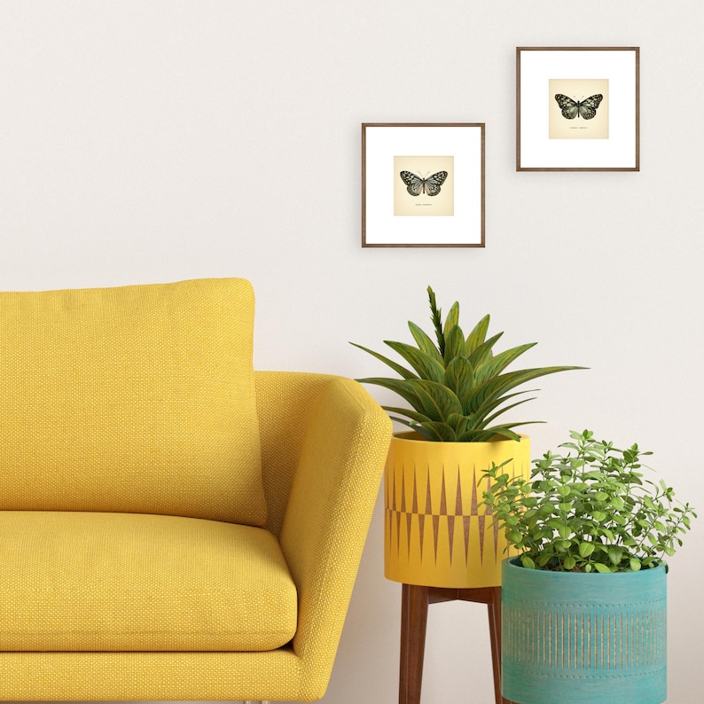 May include: Two framed butterfly prints hang on a white wall above a yellow sofa and two potted plants. The prints have brown frames and feature black and white butterfly illustrations. A yellow planter with a brown geometric design and a teal planter with a green plant are also visible.