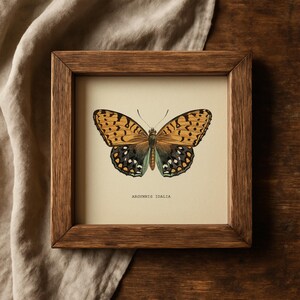 Set of 2 Vintage Butterflies Prints Botanical Square Print Butterfly Set of Prints Yellow Green Neutral Home Decor Neutral Art Reproduction zdjęcie 17