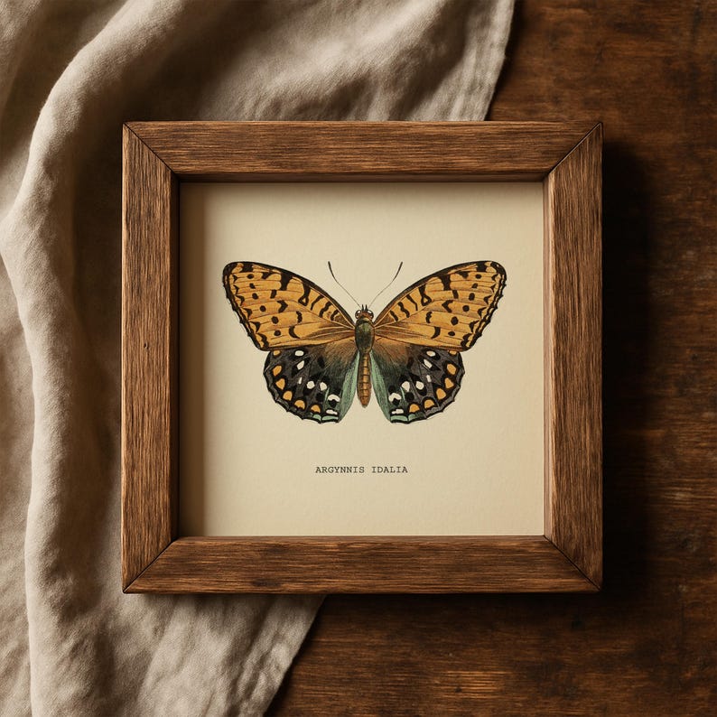 Set of 2 Vintage Butterflies Prints Botanical Square Print Butterfly Set of Prints Yellow Green Neutral Home Decor Neutral Art Reproduction zdjęcie 17