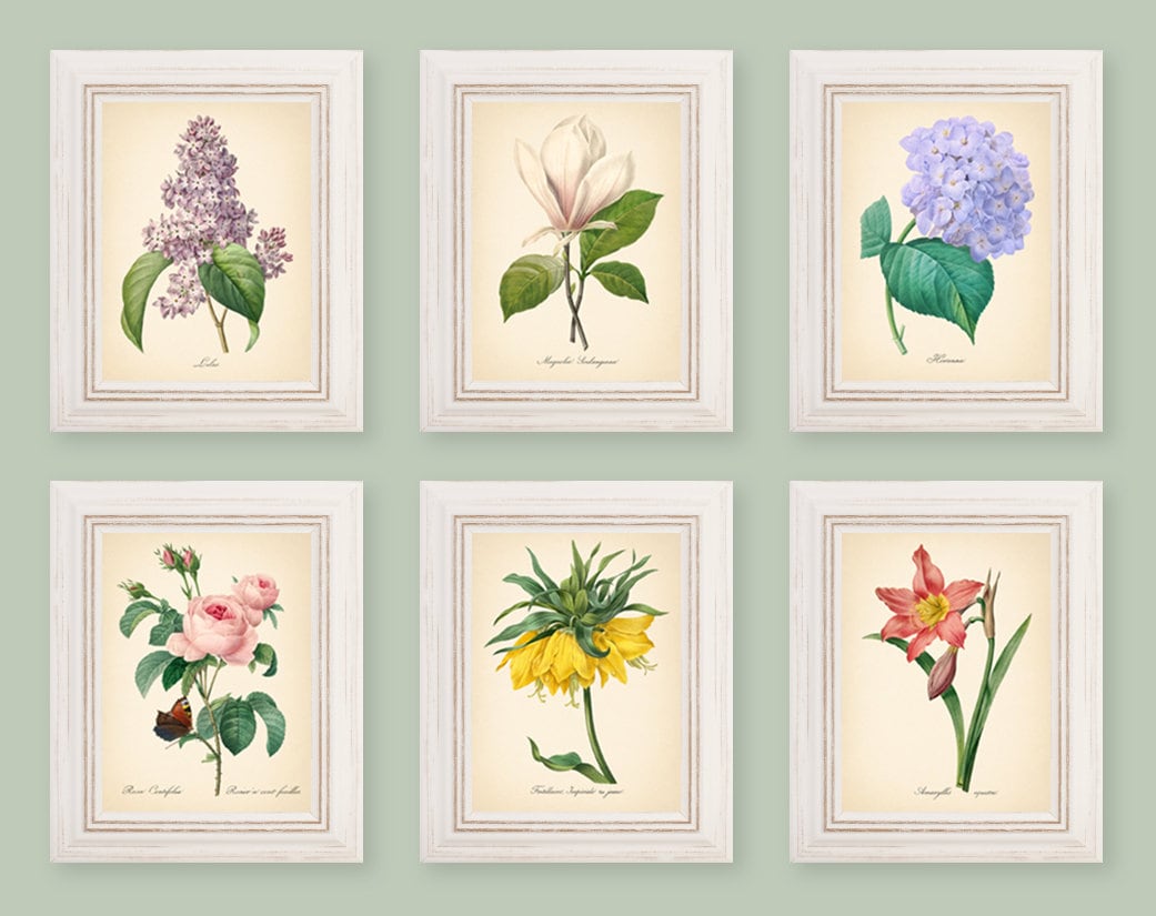 5x7'' VINTAGE FLOWERS PRINTS set vintage poster leaf Etsy