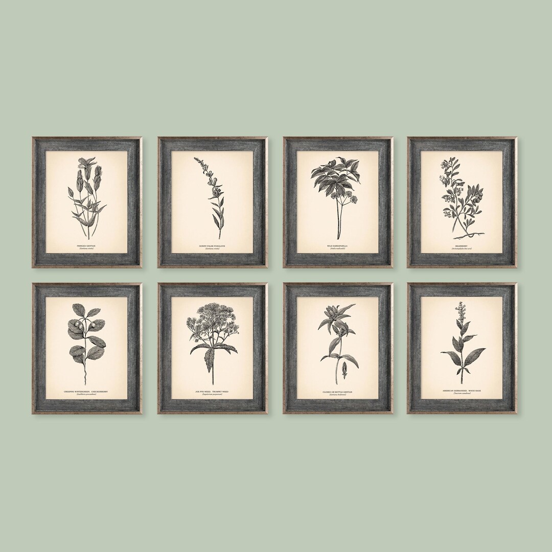 8x10'' Vintage Botanical Prints Set of 8 Botanical Poster Botanical ...