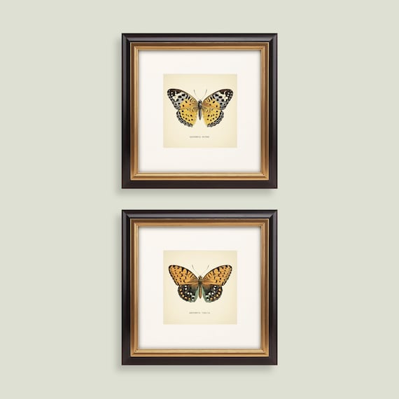 Set of 2 Vintage Butterflies Prints Botanical Square Print Butterfly Set of Prints Yellow Green Neutral Home Decor Neutral Art Reproduction