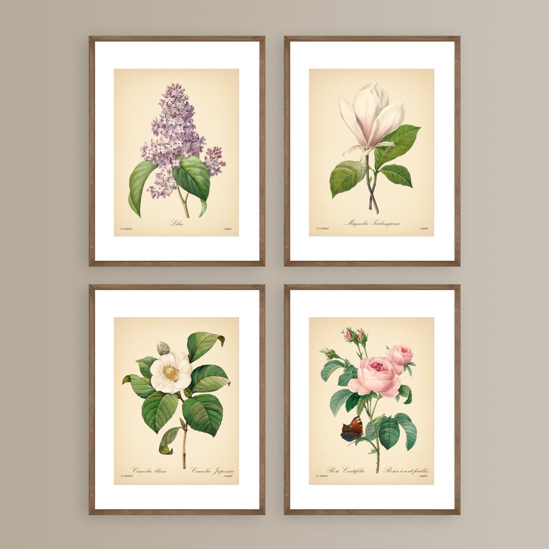 Vintage Botanical Prints Set of 4 Botanical Flowers Posters Rose ...