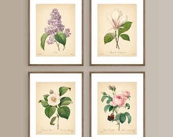 Vintage Botanical Prints Set of 4 Botanical Flowers Posters Rose Magnolia Flower Print Vintage Print Botanical Art Mother's Day Gift