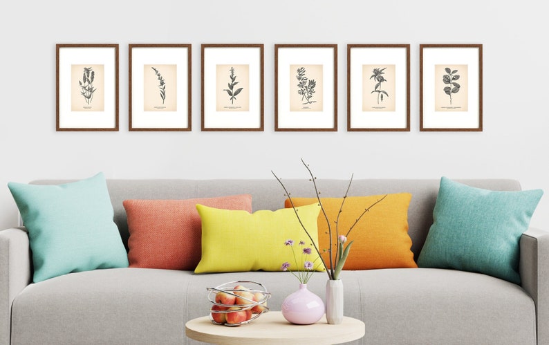 K&ouml;nnte beinhalten: Sechs gerahmte botanische Drucke verschiedener Pflanzen und Blumen, die an einer hellgrauen Wand &uuml;ber einem grauen Sofa mit bunten Kissen angebracht sind.