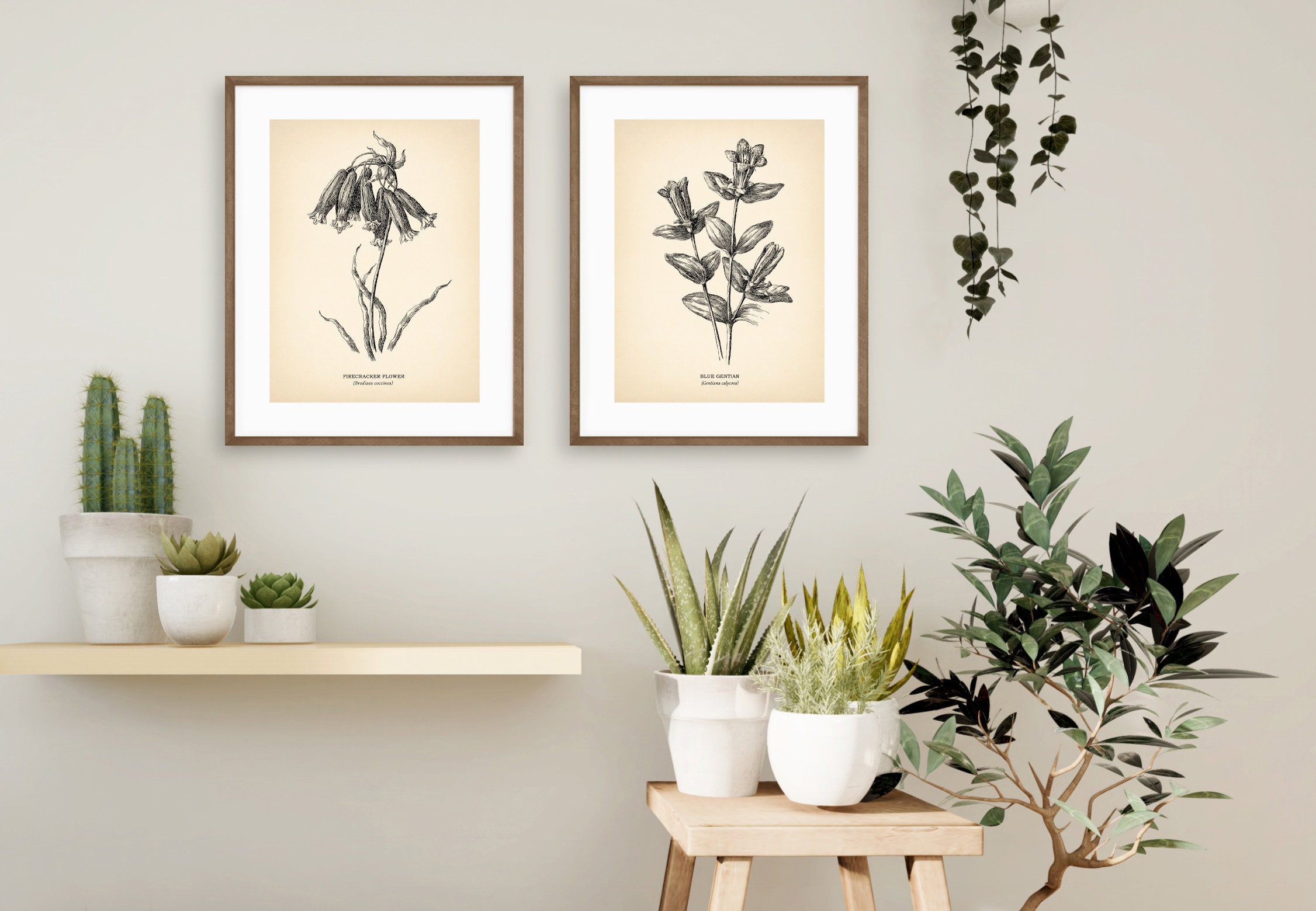Vintage Botanical Prints Set of 2 Botanical Poster Wildflower Botanical ...