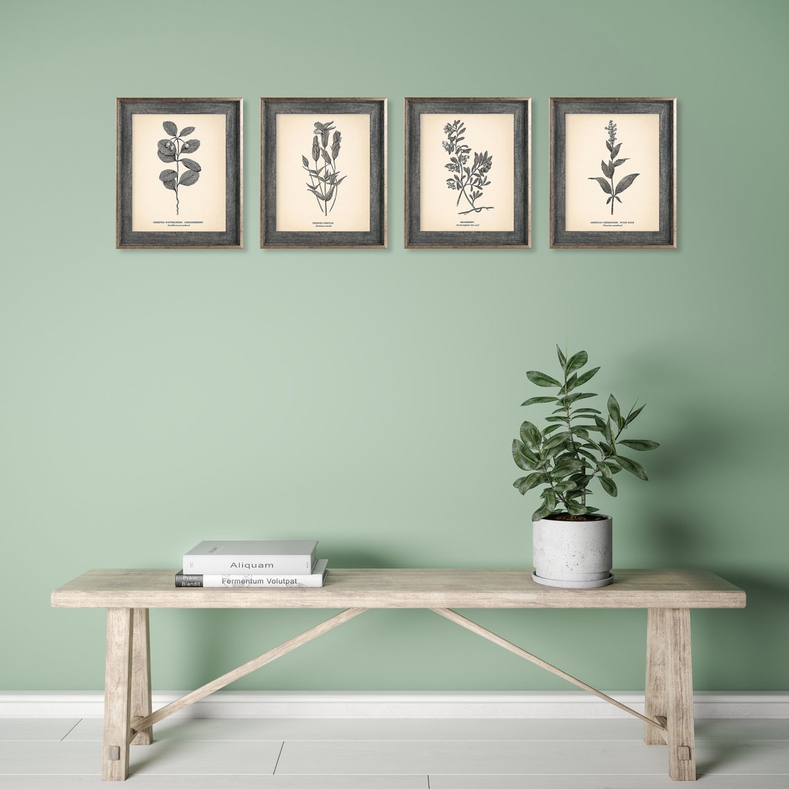 8x10'' Vintage Botanical Prints Set of 4 Botanical | Etsy