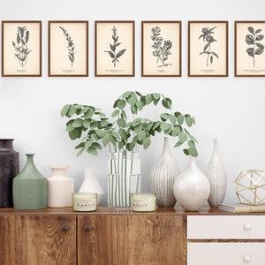 K&ouml;nnte beinhalten: Ein Holzschr&auml;nkchen mit zwei Schubladen und zwei T&uuml;ren, dekoriert mit einer Vase mit gr&uuml;nen Eukalyptus-Zweigen, sechs gerahmten botanischen Drucken und verschiedenen dekorativen Vasen und Kerzen.