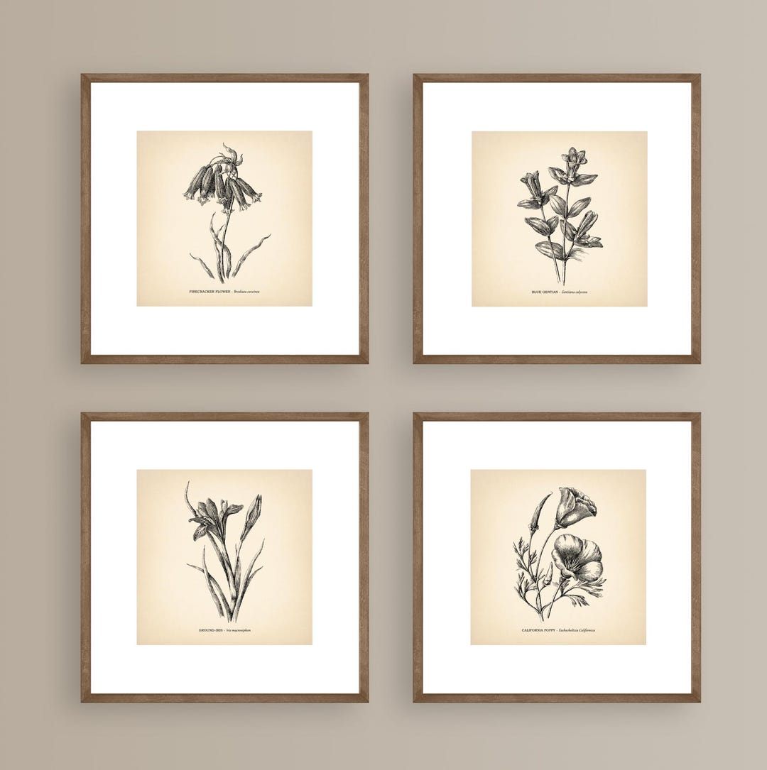 8x8'' Vintage Botanical Prints Set of 4 Botanical Poster Wildflower ...