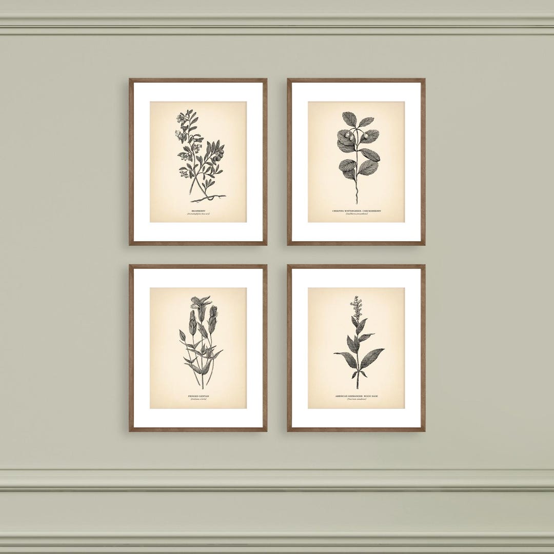 8x10'' Vintage Botanical Prints Set of 4 Botanical Poster Wildflower ...