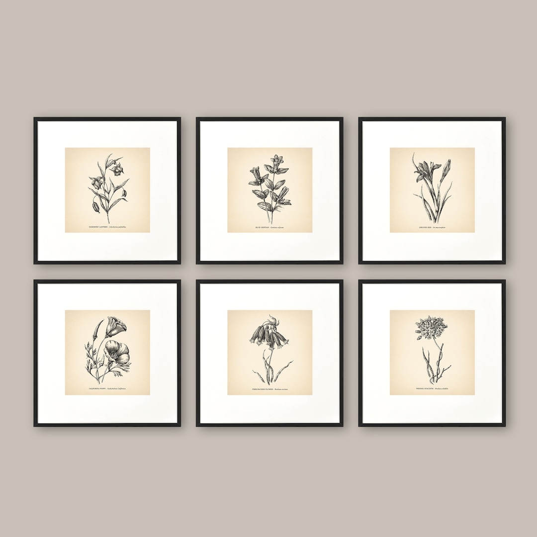8x8'' Vintage Botanical Prints Set of 6 Botanical Poster Wildflower ...