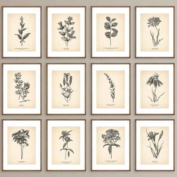 Botanical Print Set - Etsy