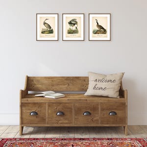 8x10'' 3 VINTAGE PRINTS Audubon Birds 8x10 inches Wall Art Decor Rustic Antique Book Birds of America Botanical Prints Set of 3 Prints Heron image 14