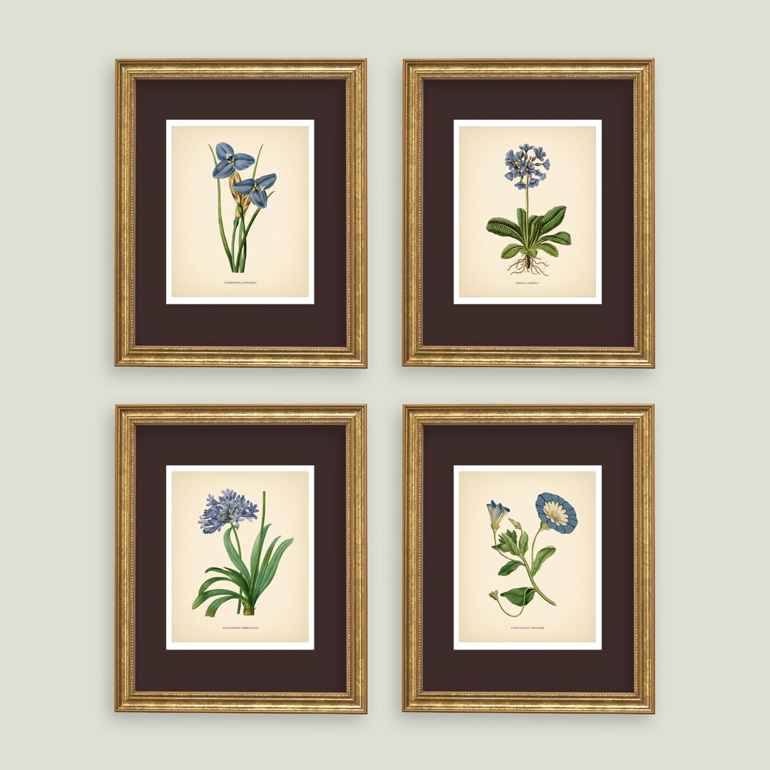 Blue Flowers Vintage Botanical Prints Blue Set of 4 Botanical Poster ...