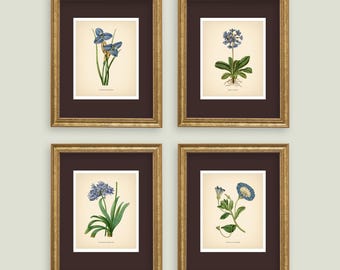 Blue Flowers Vintage Botanical Prints Blue Set of 4 Botanical Poster Wildflower Print Vintage Print Neutral Decor Wall Art Wall Decor
