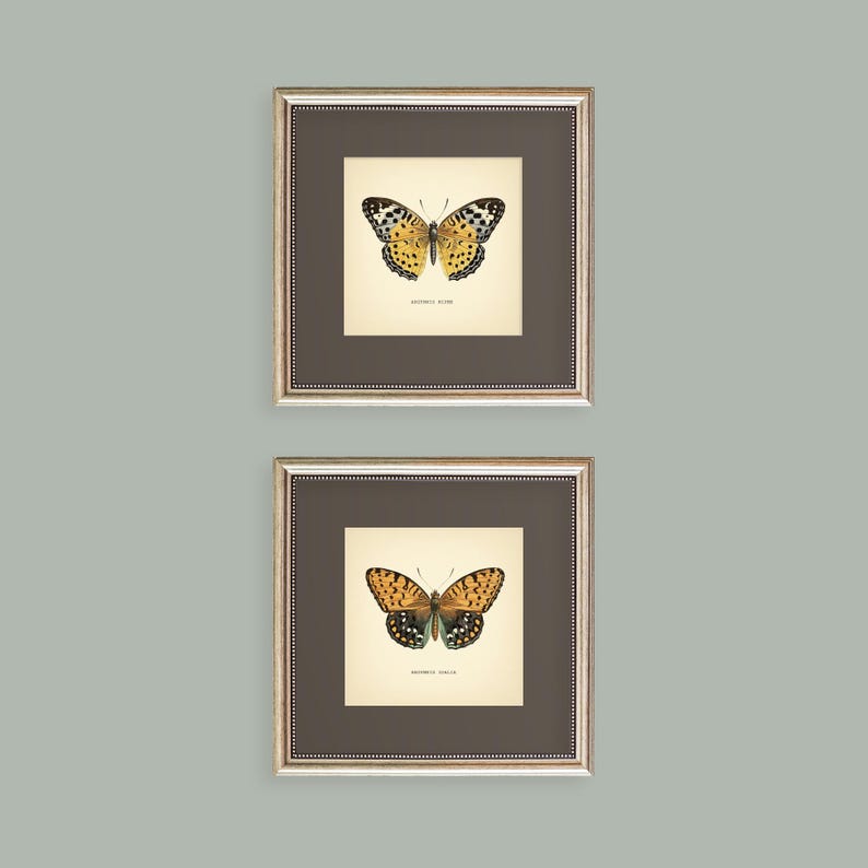 Set of 2 Vintage Butterflies Prints Botanical Square Print Butterfly Set of Prints Yellow Green Neutral Home Decor Neutral Art Reproduction zdjęcie 6