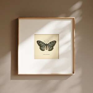 May include: A framed print featuring a detailed illustration of a butterfly with black, white, and teal markings. The artwork is centered on a cream-colored background, set within a white mat and a light wood frame. The print is displayed on a neutral-toned wall.