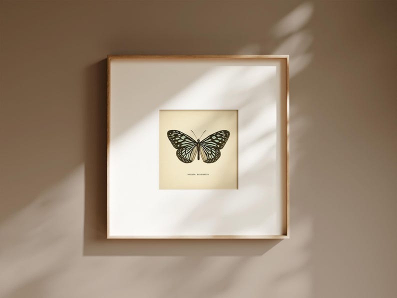 May include: A framed print featuring a detailed illustration of a butterfly with black, white, and teal markings. The artwork is centered on a cream-colored background, set within a white mat and a light wood frame. The print is displayed on a neutral-toned wall.