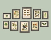 Set of 10 Vintage Botanical Prints, Botanical Poster, Flower Prints, Butterfly Sunflower Flamingo Fern Leaf Rose Bird Set of Prints AC
