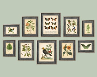 Set of 10 Vintage Botanical Prints, Botanical Poster, Flower Prints, Butterfly Sunflower Flamingo Fern Leaf Rose Bird | Set of Prints | AC