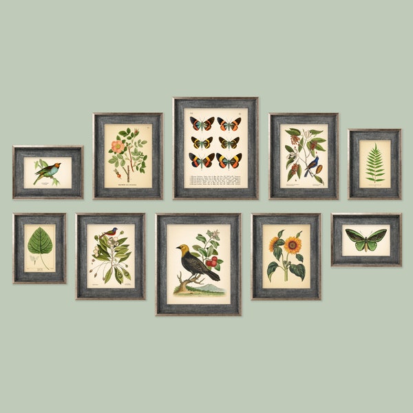 Set of 10 Vintage Botanical Prints, Botanical Poster, Flower Prints, Butterfly Sunflower Flamingo Fern Leaf Rose Bird | Set of Prints | AC