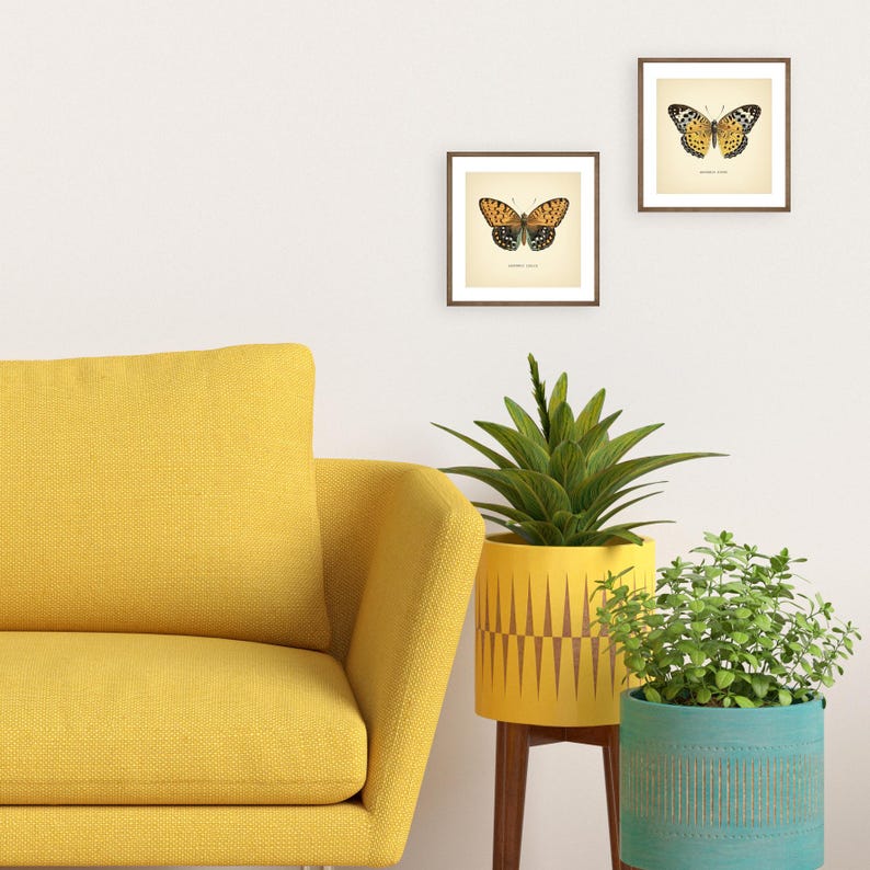 Set of 2 Vintage Butterflies Prints Botanical Square Print Butterfly Set of Prints Yellow Green Neutral Home Decor Neutral Art Reproduction zdjęcie 13