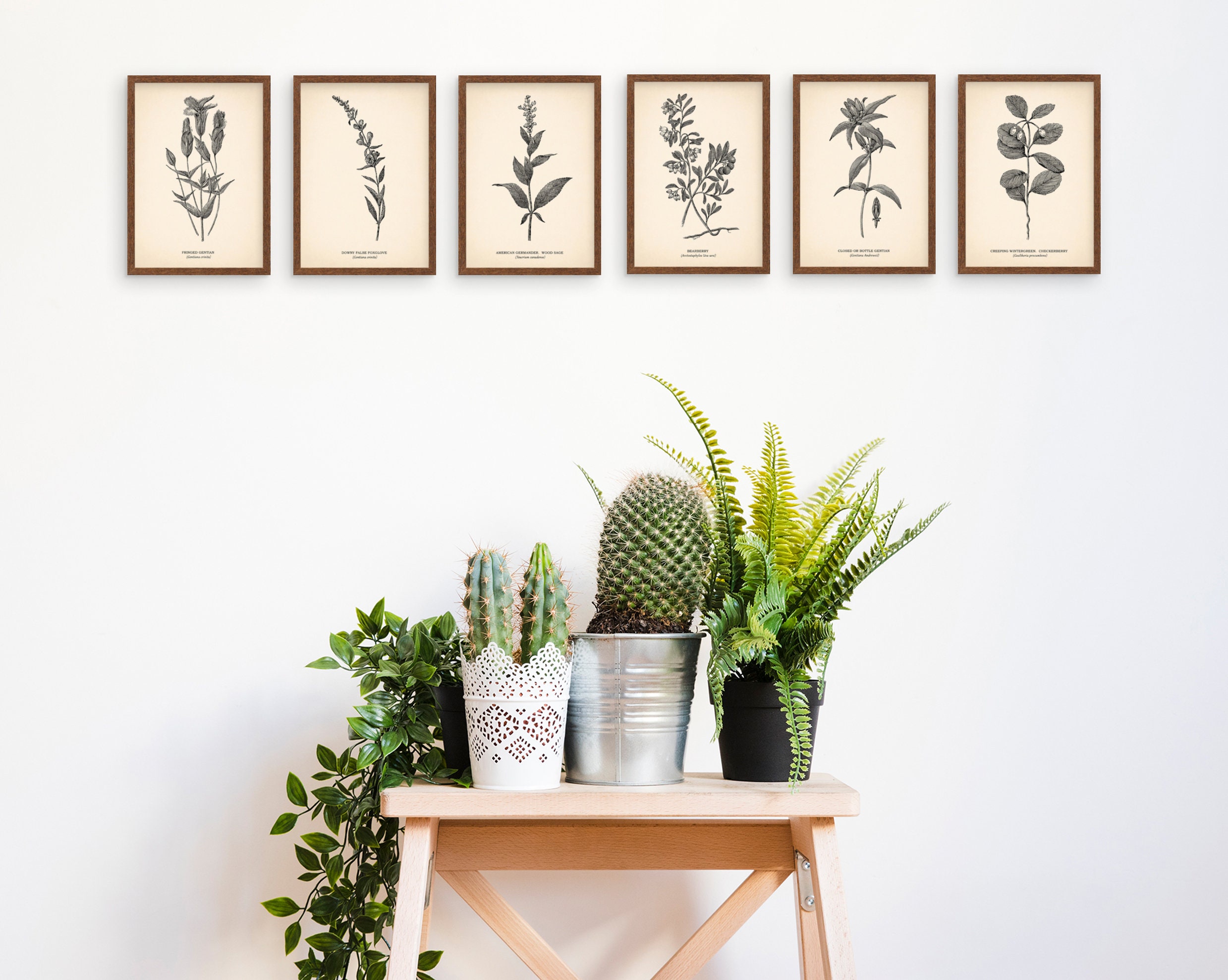 5x7'' VINTAGE BOTANICAL PRINTS Set of 6 Wall Art - Etsy UK