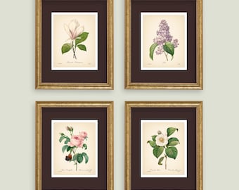 VINTAGE BOTANICAL PRINTS | Set of 4 Prints | Rose Magnolia Lilac Camellia |  Neutral Decor Neutral Wall Art Botanical Prints Vintage Prints