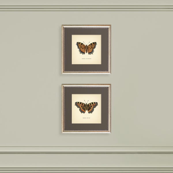 Juego de 2 mariposas Vanessa, impresiones vintage de mariposas, estampado de mariposas botánicas, estampado cuadrado, decoración neutra para el hogar, arte botánico, arte de pared.