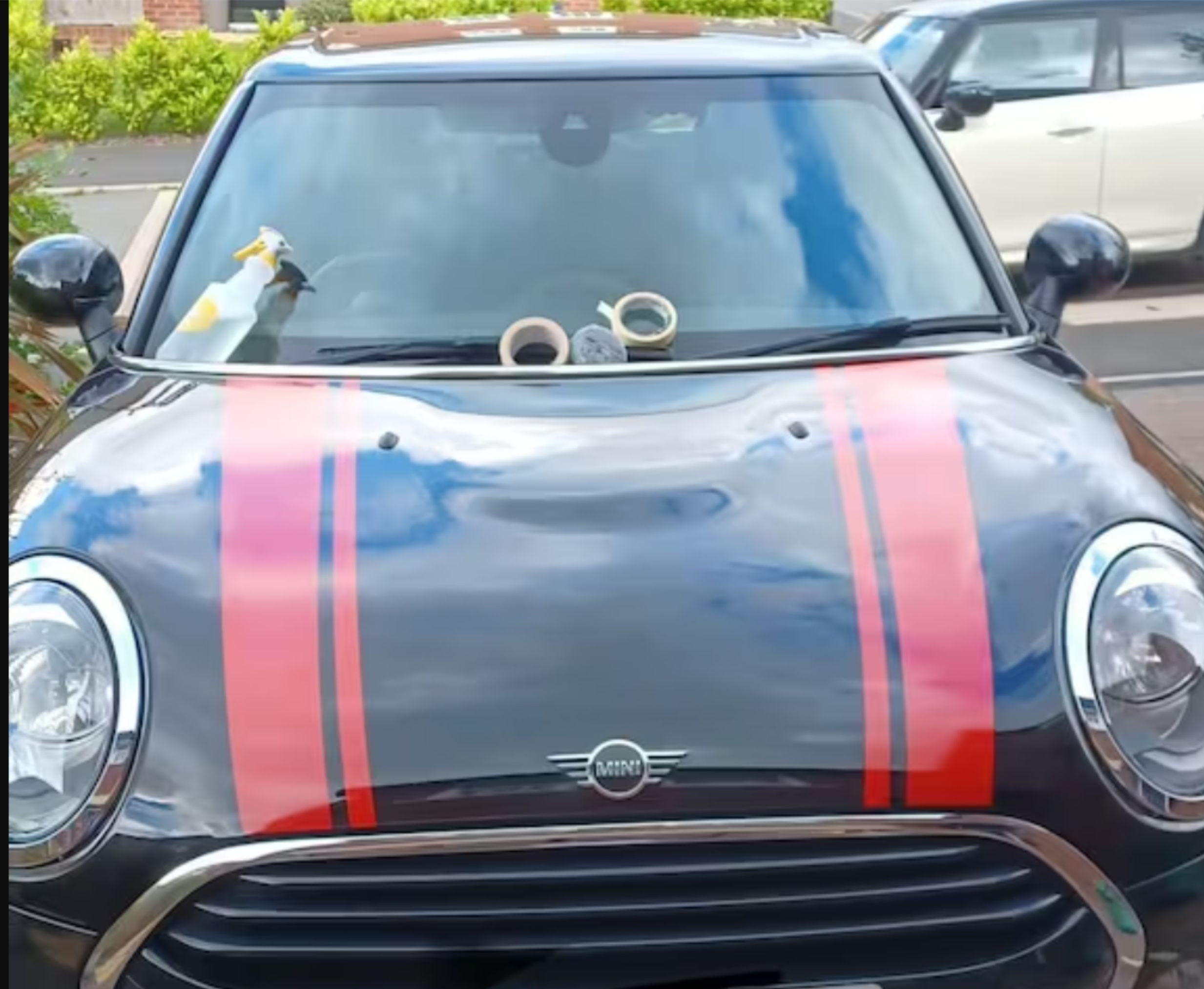 Mini F54 Clubman Cooper S JCW All4 Bonnet Stripes / Stickers Exact Factory  Size and Spec Genuine Hexis Vinyl 