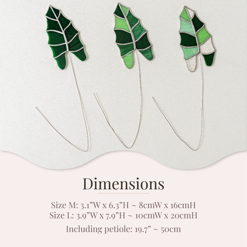 May include: Three stained glass leaf sculptures with wire stems. The leaves are various shades of green, with a mix of solid and textured glass. Size M: 3.1"W x 6.3"H. Size L: 3.9"W x 7.9"H. Including petiole: 19.7".