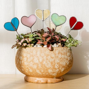 May include: A terracotta pot with a textured surface holds a green plant with five stained glass heart-shaped plant markers. The markers are in shades of blue, pink, yellow, green, and red.